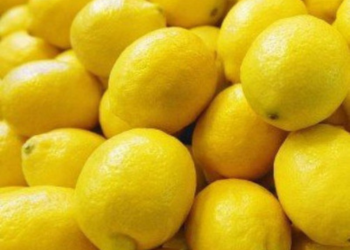 Kachai Lemon