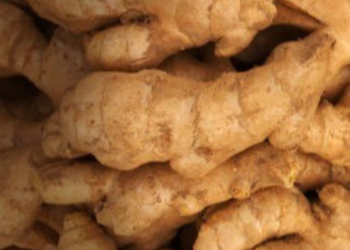 Karbi Anglong Ginger