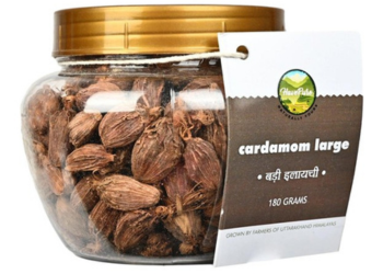 Large Cardamom